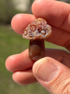 Lake Superior Agate Mushroom Pendant