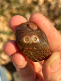 Lake Superior Eye Agate Owl Pendant Carving.