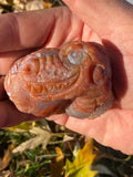 Large Lake Superior Agate Dino Carving!!