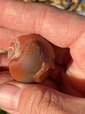 Skull Lake Superior Agate Carving