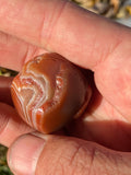 Skull Lake Superior Agate Carving