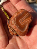 Butterfly Carving Lake Superior Agate