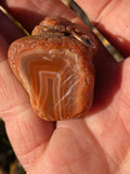 Butterfly Carving Lake Superior Agate