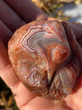 Large Lake Superior Agate Dino Carving!!