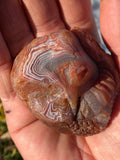 Large Lake Superior Agate Dino Carving!!