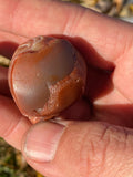 Skull Lake Superior Agate Carving