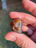 Eye Agate Skull