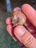 Eye Agate Skull