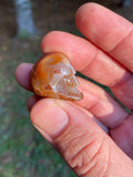 Eye Agate Skull