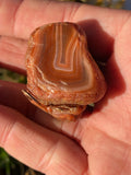 Butterfly Carving Lake Superior Agate