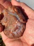 Large Lake Superior Agate Dino Carving!!