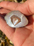 Heart Carving Laguna Agate