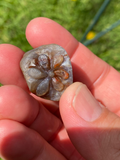 Amethyst Lake Superior Agate Flower Carving Pendant