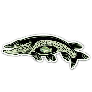 12" Northern Pike & Sunny Sticker