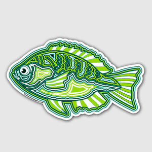 5" Sunfish Sticker Green
