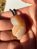 Lake Superior Agate Toe Pendant